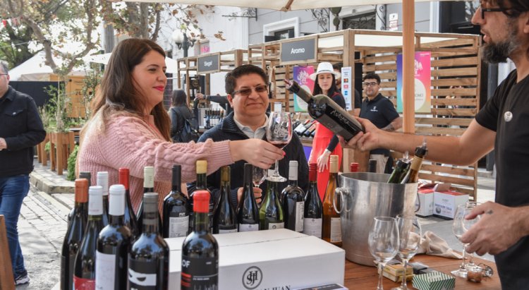 Vendimia Fest 2024: más de 40 viñas se preparan para la gran fiesta en torno al vino